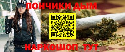 сатива Можга