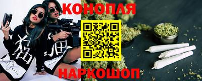 сатива Можга