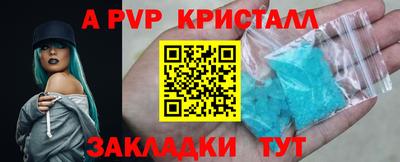 сатива Можга