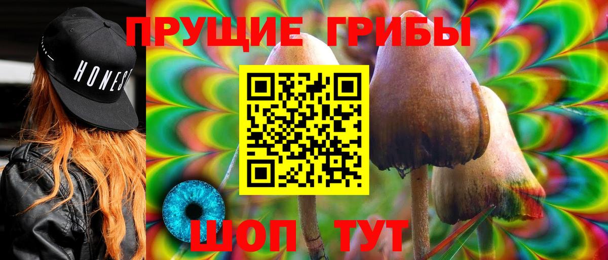 Псилоцибиновые грибы прущие грибы  Галлюциногенные грибы Cubensis  Вход с VPN  Улан-Удэ 