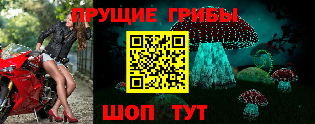 Псилоцибиновые грибы MAGIC MUSHROOMS Улан-Удэ