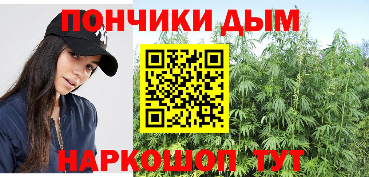 Каннабис семена  Вход с VPN  Бошки марихуана семена  МАРИХУАНА план  Улан-Удэ 